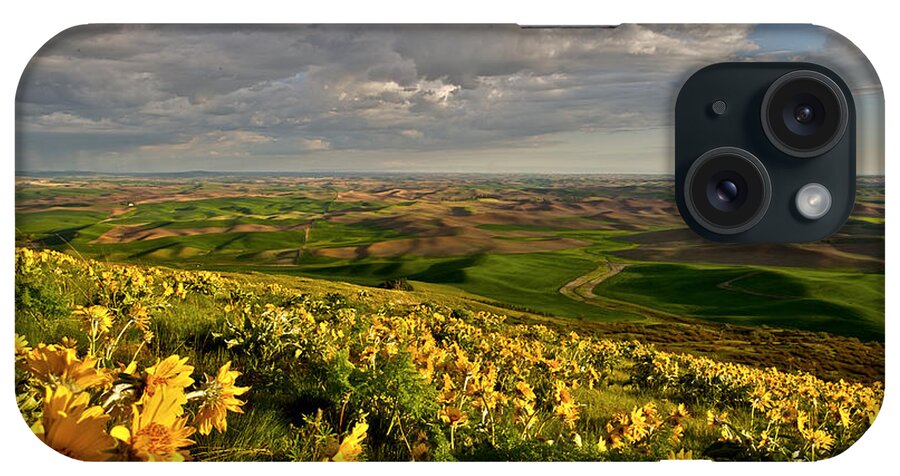 Palouse iPhone Case featuring the photograph Full bloom daisy at Steptoe Butte  by Hisao Mogi