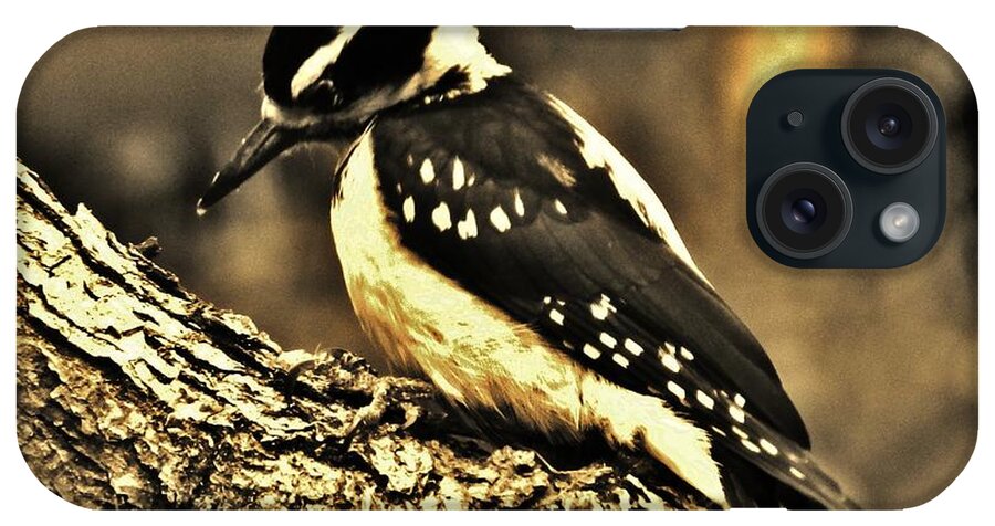 Bird iPhone Case featuring the photograph Full-Color Not Needed by VLee Watson