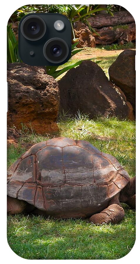 Galapagos Turtle iPhone Case featuring the photograph Galapagos Turtle at Honolulu Zoo by Michele Myers