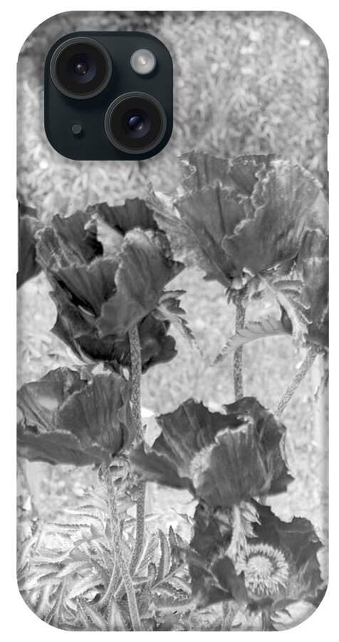 Flower iPhone Case featuring the photograph Garden Beauty by William Haggart
