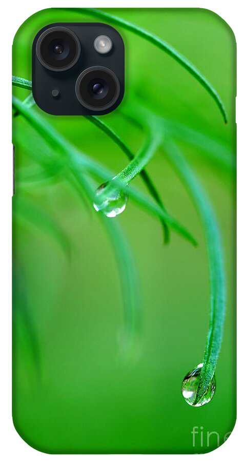 Dew Drops iPhone Case featuring the photograph Garden Gifts by Michael Eingle