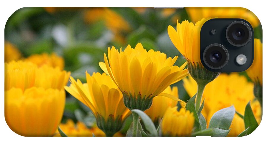 Yellow Flowers iPhone Case featuring the photograph Garden Glow by Grant Washburn