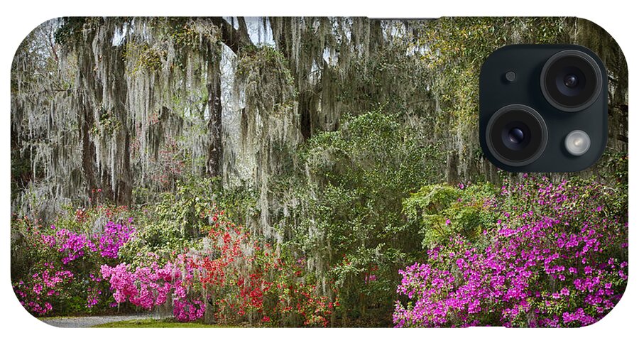 Azalea iPhone Case featuring the photograph Garden Path Magnolia Plantation by Carrie Cranwill