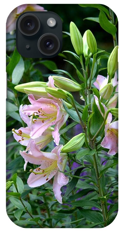 Garden Pink Lilies iPhone Case featuring the photograph Garden Pink Lilies by Maria Urso