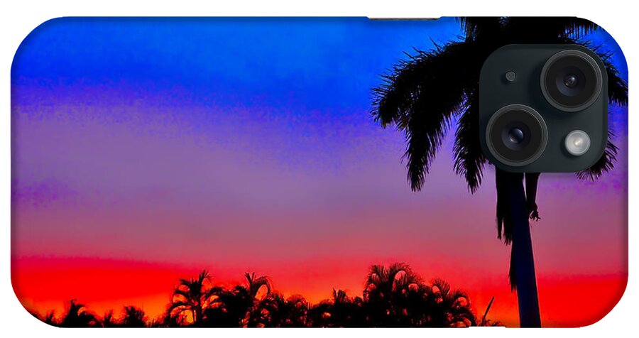Gator Nation iPhone Case featuring the photograph Gator Nation Sunset by Don Durfee