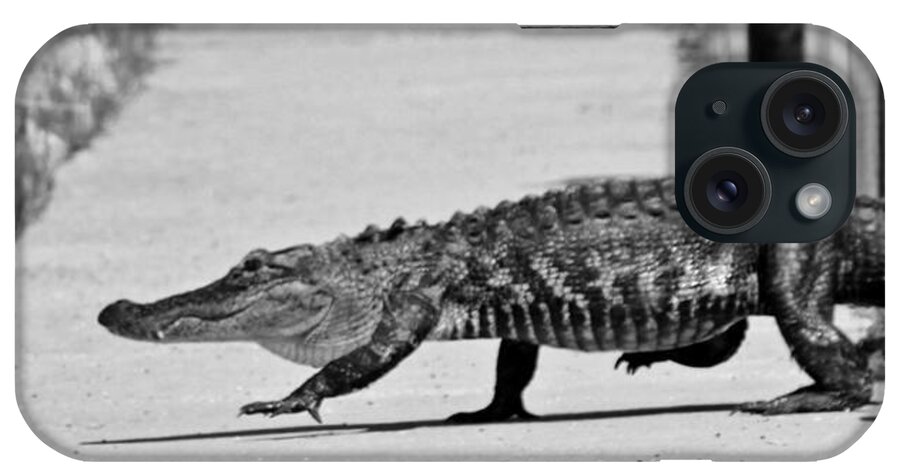 Alligator iPhone Case featuring the photograph Gator Walking by Cynthia Guinn