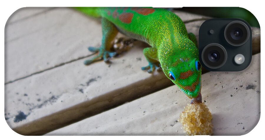 Gecko iPhone Case featuring the photograph Gecko 2 by Christie Kowalski