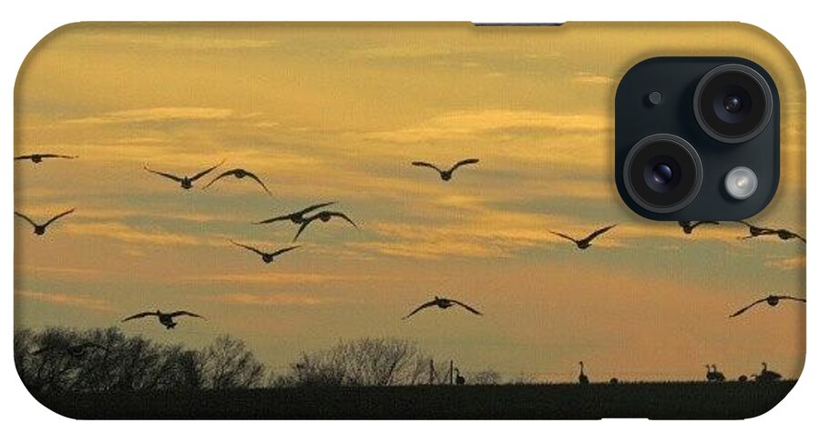 Flight iPhone Case featuring the photograph Geese In Flight by Kelli Stowe