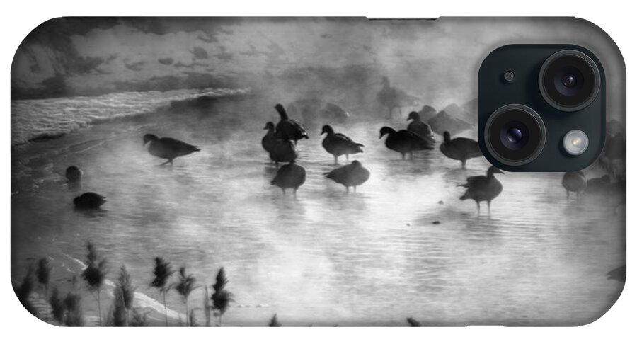 Geese iPhone Case featuring the photograph Geese in The Fog by Nathan Abbott