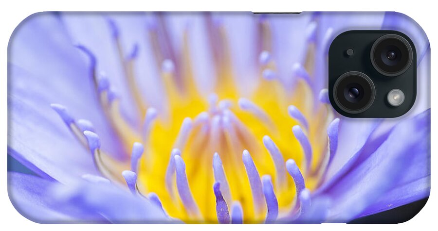 Blue Waterlily iPhone Case featuring the photograph Gentle Blue by Priya Ghose