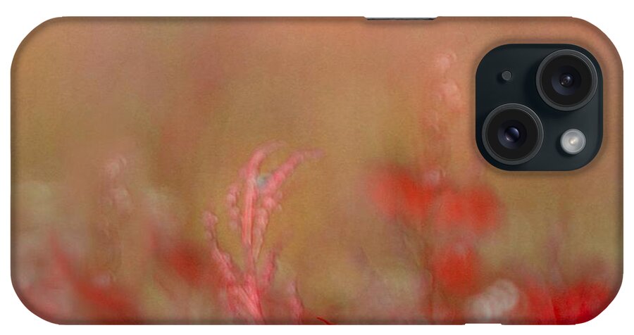 Wild Flowers iPhone Case featuring the photograph Gentle Breezes by Abbie Loyd Kern