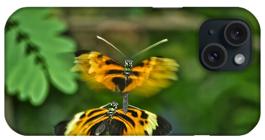 Mating iPhone Case featuring the photograph Gentle Butterfly Courtship 03 by Thomas Woolworth