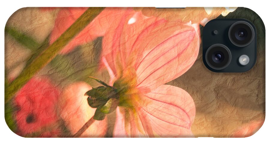 Flower iPhone Case featuring the photograph Gentleness by Trish Tritz