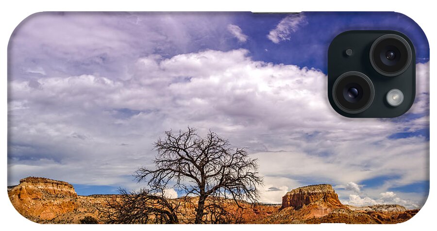 Ghost Ranch iPhone Case featuring the photograph Georgia O'Keefe's Tree Caught Between Kitchen and Matrimonial Mesa - Ghost Ranch Abiquiu New Mexico by Silvio Ligutti