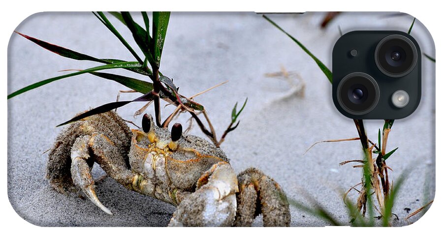 Ghost Crab iPhone Case featuring the photograph Ghost Crab by Peter DeFina