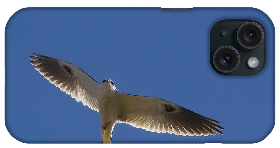 White-tailed Kite iPhone Case featuring the photograph Ghostly Flight by Gary Holmes