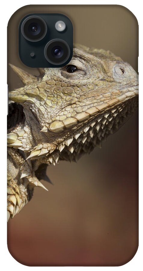 Feb0514 iPhone Case featuring the photograph Giant Horned Lizard by San Diego Zoo