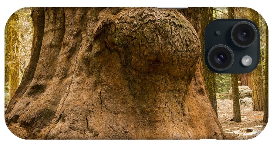 Giant Tree Trees Sequoia National Park California Parks Knot Knots Odds And Ends Texture Textures iPhone Case featuring the photograph Giant Knot in Giant Tree by Bob Phillips