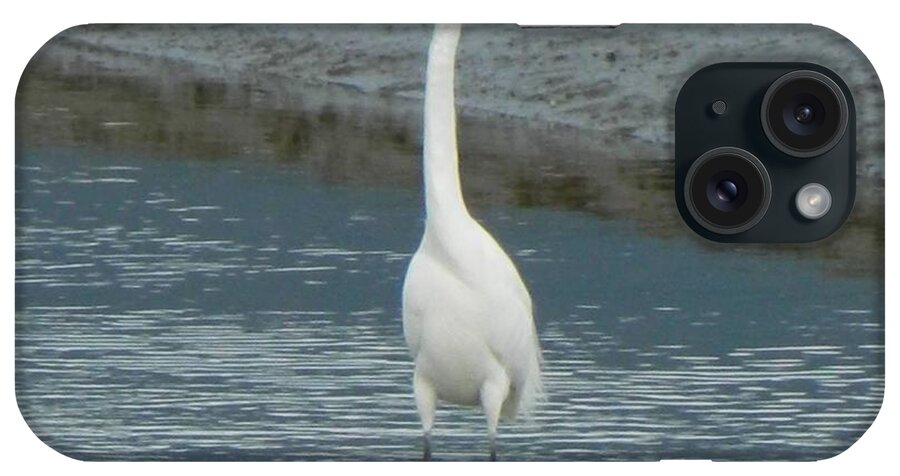 White Heron iPhone Case featuring the photograph Giant White Heron by Gallery Of Hope 