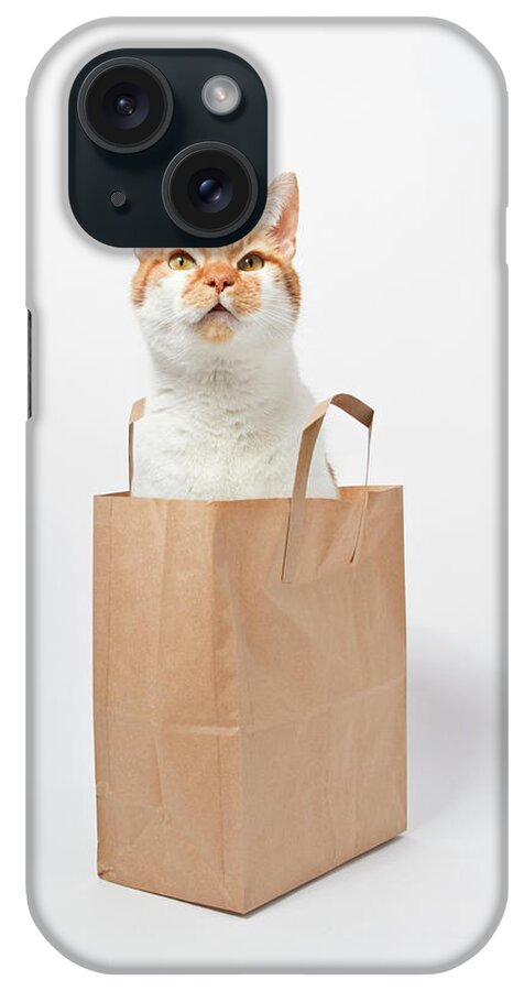 Pets iPhone Case featuring the photograph Ginger Cat Sitting In Bag by Image By Catherine Macbride