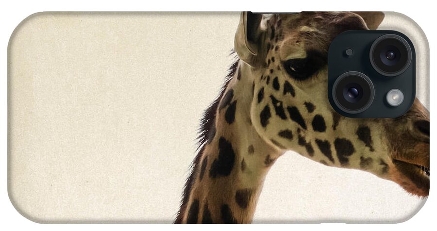 Wildlife iPhone Case featuring the photograph Giraffe 2 by Andrea Anderegg