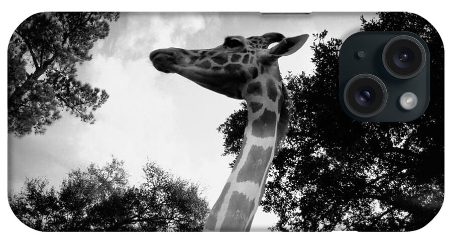 Giraffe iPhone Case featuring the photograph Giraffe bw - Global Wildlife Center by Beth Vincent
