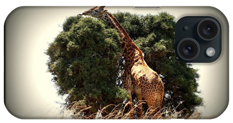 Giraffe iPhone Case featuring the photograph Giraffe in tree version two by Sue Long
