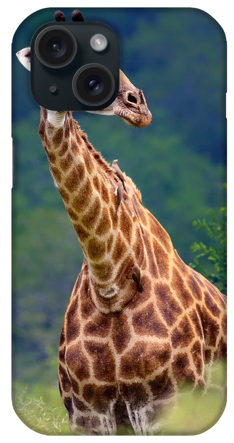 Giraffe iPhone Case featuring the photograph Giraffe portrait closeup by Johan Swanepoel