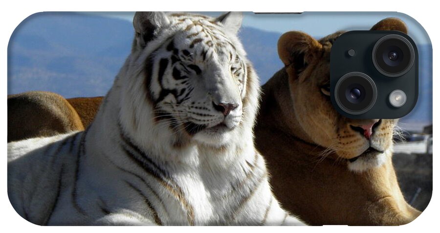 White Tiger iPhone Case featuring the photograph Girlfriends Of The Wild by Kim Galluzzo