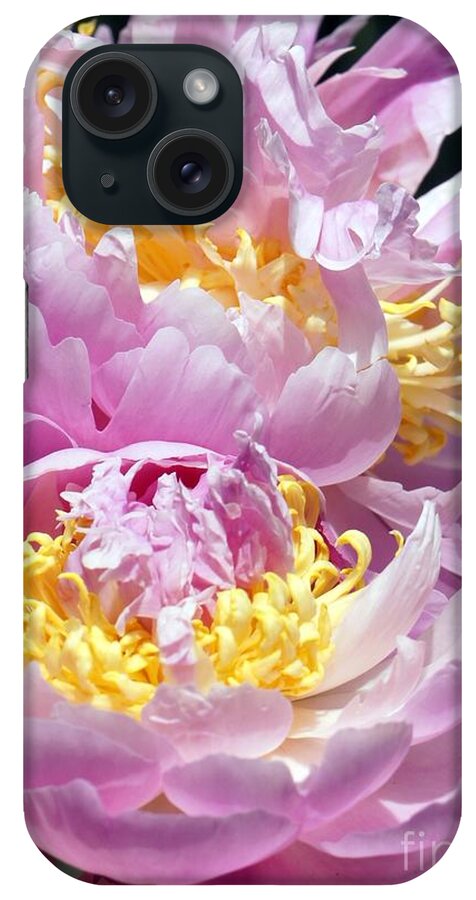 Pink iPhone Case featuring the photograph Girly Girls by Lilliana Mendez