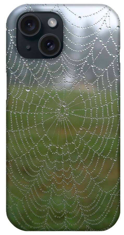 Web iPhone Case featuring the photograph Glassy Dew Drops by Richard Reeve