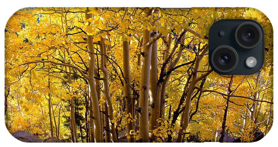 Nature iPhone Case featuring the photograph Glorious Fall by Steven Reed