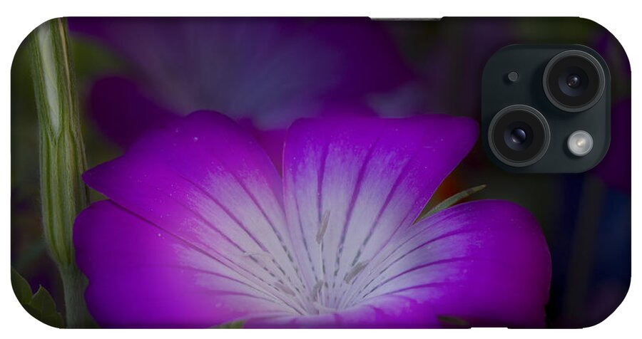 Flower iPhone Case featuring the photograph Glow by Robert Woodward