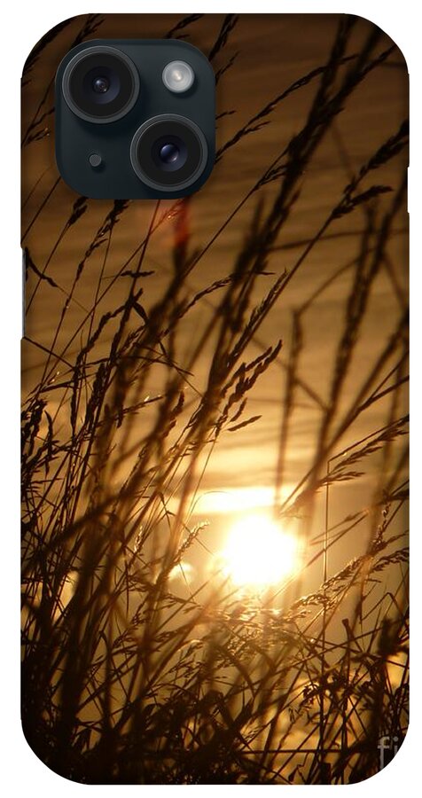Sunset iPhone Case featuring the photograph Glow Through The Grass by Vicki Spindler