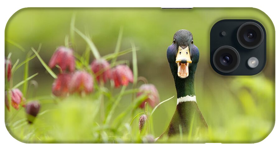 Chess Flower iPhone Case featuring the photograph Go Home Duck You're Drunk by Roeselien Raimond