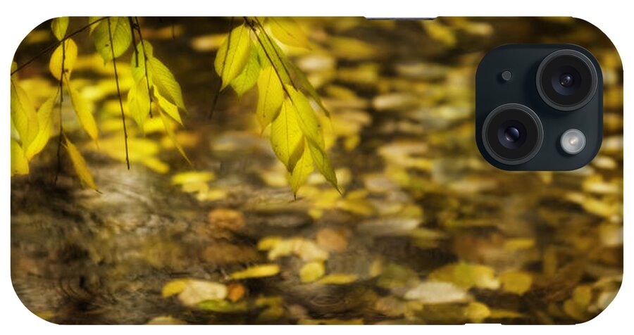 Karya Park Toronto iPhone Case featuring the photograph Golden autumn colour foliage on rainy pond by Peter V Quenter