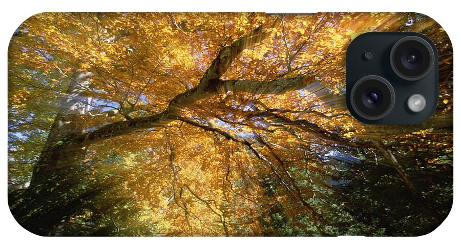 Feb0514 iPhone Case featuring the photograph Golden-colored Autumn Foliage Abstract by Konrad Wothe