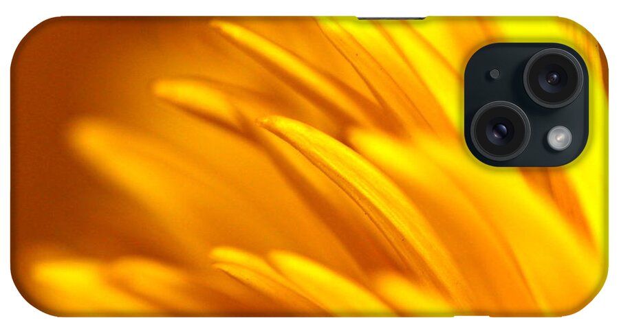 Yellow iPhone Case featuring the photograph Golden Dahlia by Michael Cinnamond