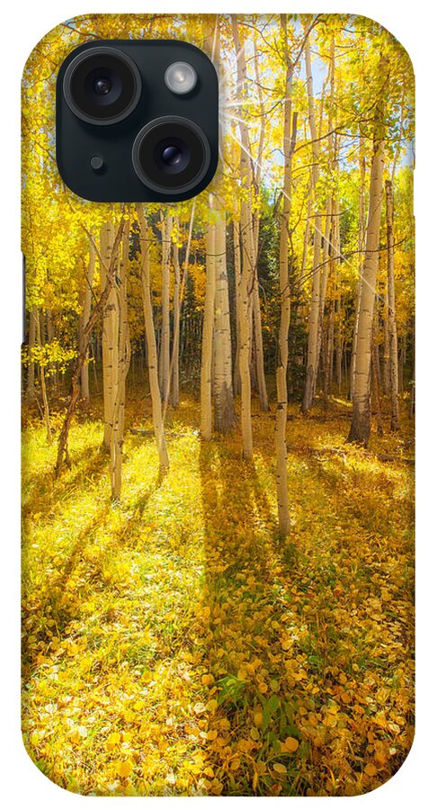 Aspens iPhone Case featuring the photograph Golden by Darren White