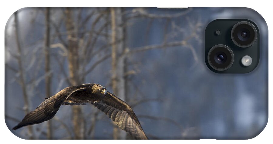 Golden Eagle iPhone Case featuring the photograph Golden Eagle in Flight by Deby Dixon