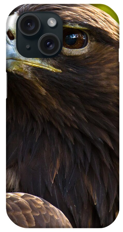 Golden Eagle iPhone Case featuring the photograph Golden Eagle by Robert L Jackson