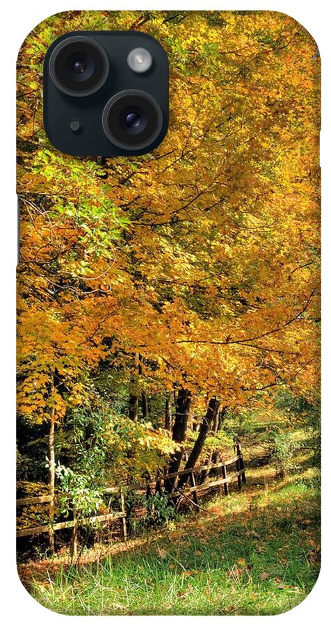 6447 iPhone Case featuring the photograph Golden Fenceline by Gordon Elwell