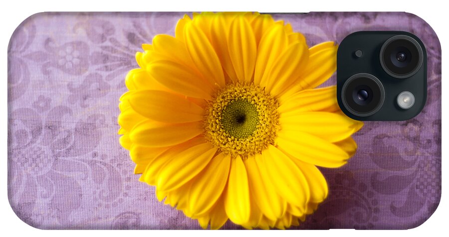 Daisy iPhone Case featuring the photograph Golden Girl by Christi Kraft