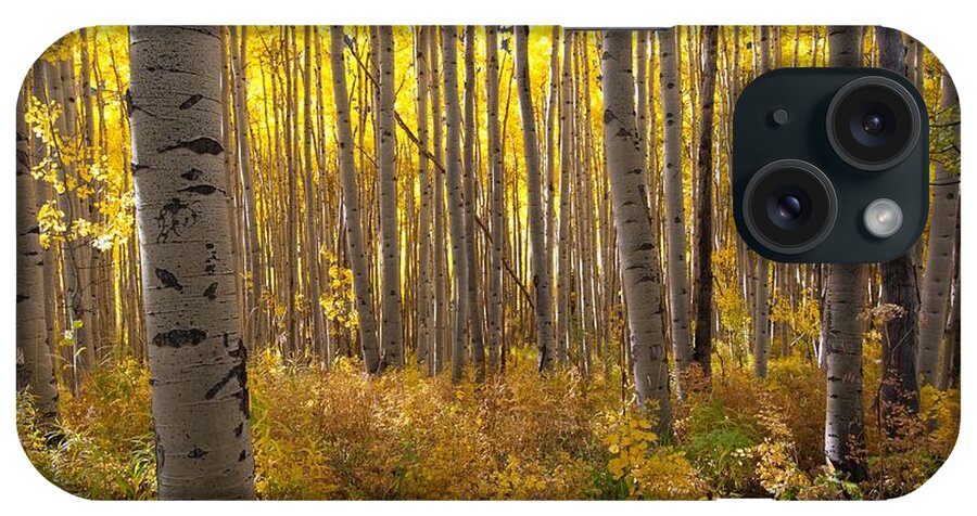 Aspen iPhone Case featuring the photograph Golden Glow by Cascade Colors