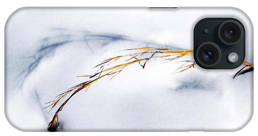 Photo iPhone Case featuring the photograph Golden Grass and Shadow in Snow by John Haldane