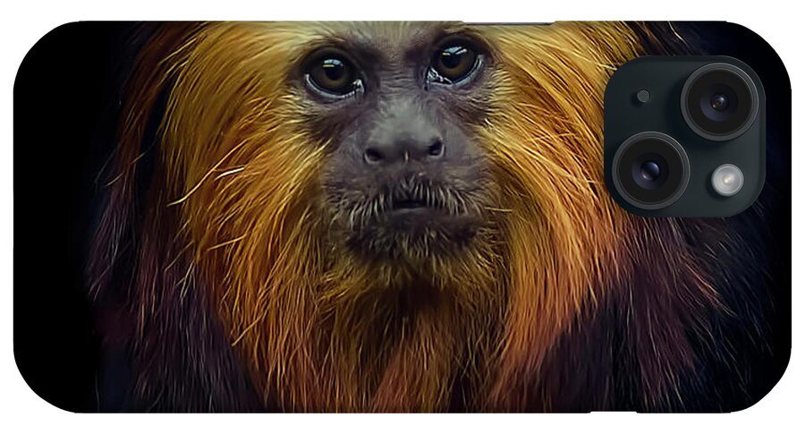 Animal Themes iPhone Case featuring the photograph Golden Headed Lion Tamarin by Photo By Steve Wilson