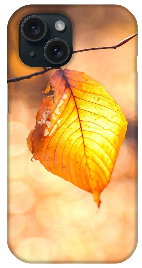 Fall iPhone Case featuring the photograph Golden Leaf by Steve Stephenson