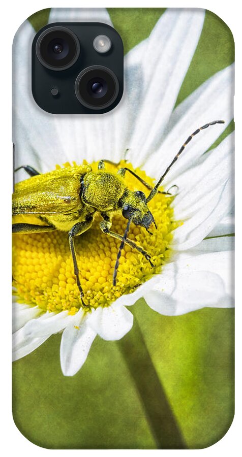 Beetle iPhone Case featuring the photograph Golden Longhorn by Bill and Linda Tiepelman