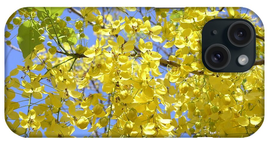 Yellow iPhone Case featuring the photograph Golden Medallion Shower Tree by Mary Deal