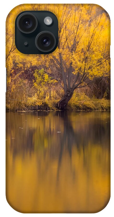 Autumn iPhone Case featuring the photograph Golden Pond by Steven Milner